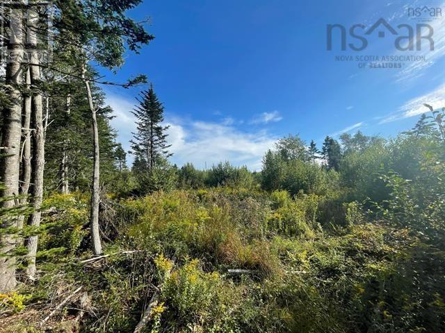 Lot A Arlington Road, Arlington West, Nova Scotia  B0P 1R0 - Photo 8 - 202507265