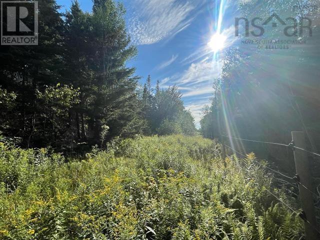 Lot A Arlington Road, Arlington West, Nova Scotia  B0P 1R0 - Photo 11 - 202507265