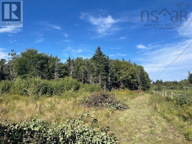 Lot A Arlington Road, Arlington West, Nova Scotia  B0P 1R0 - Photo 3 - 202507265