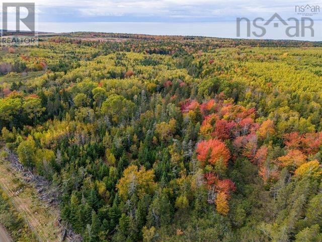 Lot A Arlington Road, Arlington West, Nova Scotia  B0P 1R0 - Photo 2 - 202507265