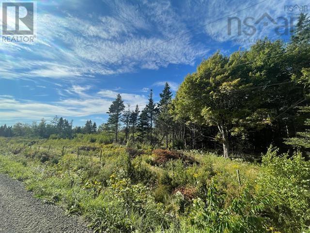 Lot A Arlington Road, Arlington West, Nova Scotia  B0P 1R0 - Photo 5 - 202507265
