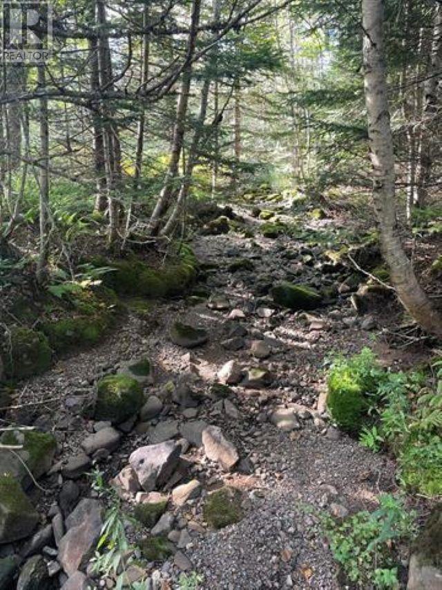 Lot A Arlington Road, Arlington West, Nova Scotia  B0P 1R0 - Photo 10 - 202507265