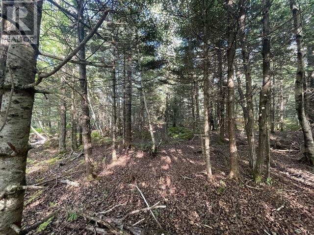Lot A Arlington Road, Arlington West, Nova Scotia  B0P 1R0 - Photo 13 - 202507265