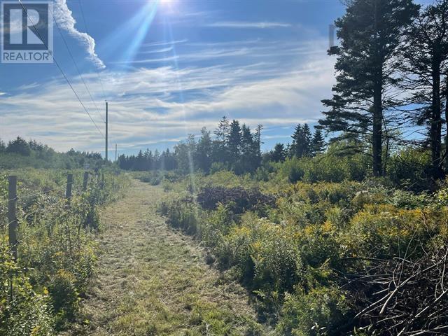 Lot A Arlington Road, Arlington West, Nova Scotia  B0P 1R0 - Photo 6 - 202507265