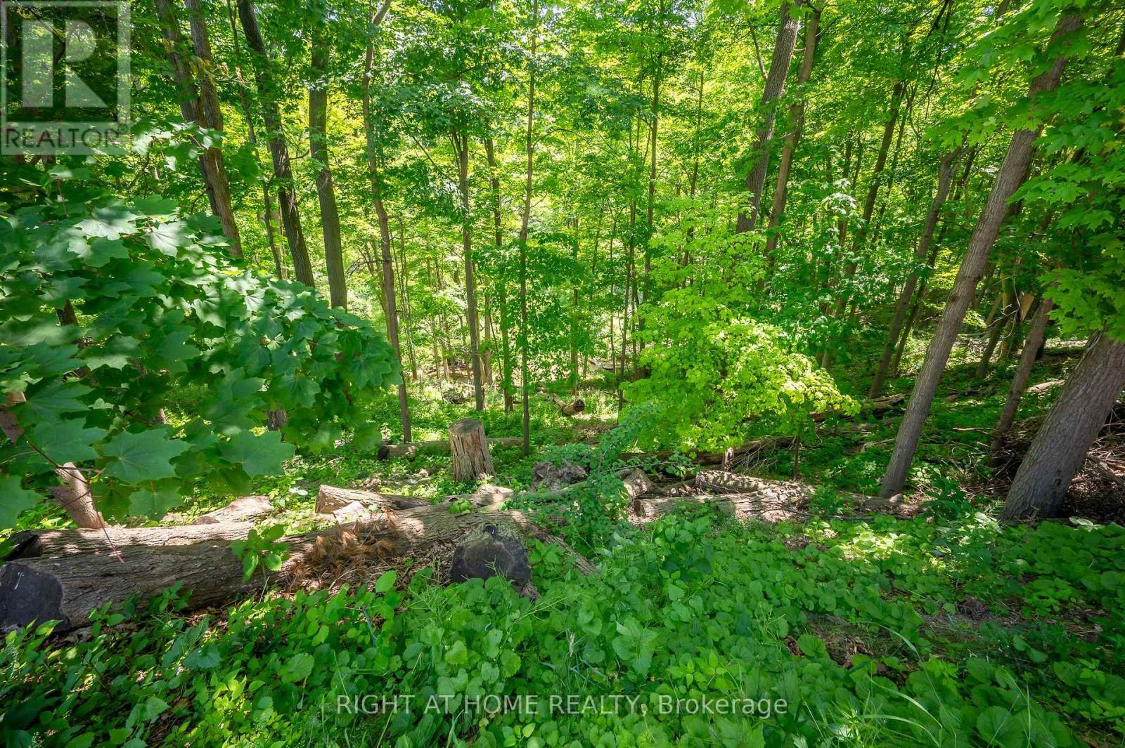 85 Robinhood Drive, Hamilton (Dundas), Ontario  L9H 4G2 - Photo 36 - X12228259