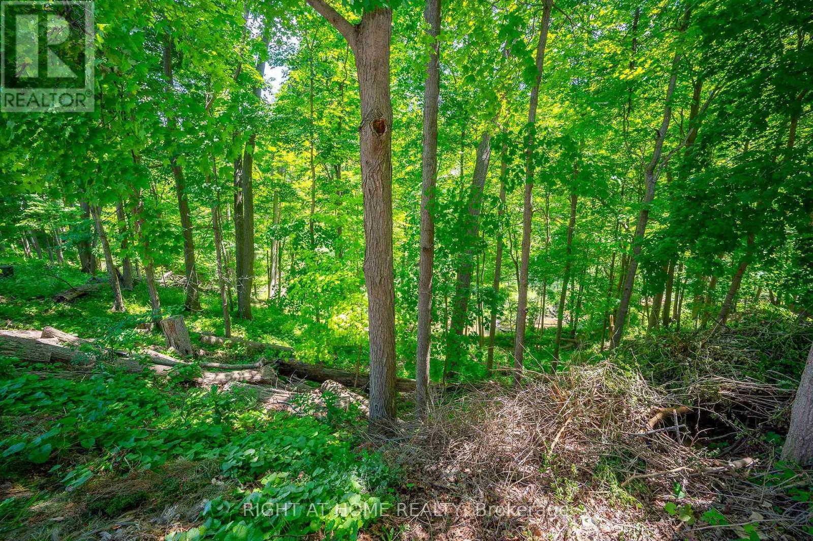85 Robinhood Drive, Hamilton (Dundas), Ontario  L9H 4G2 - Photo 37 - X12228259