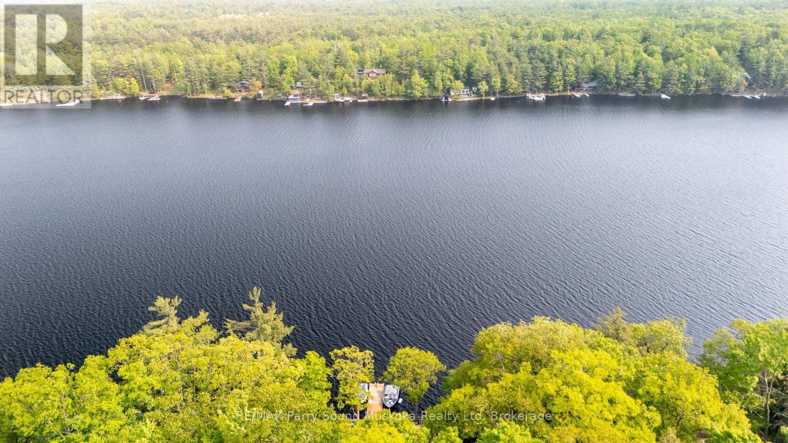 362 Healey Lake, The Archipelago, Ontario  P0G 1C0 - Photo 4 - X12221815