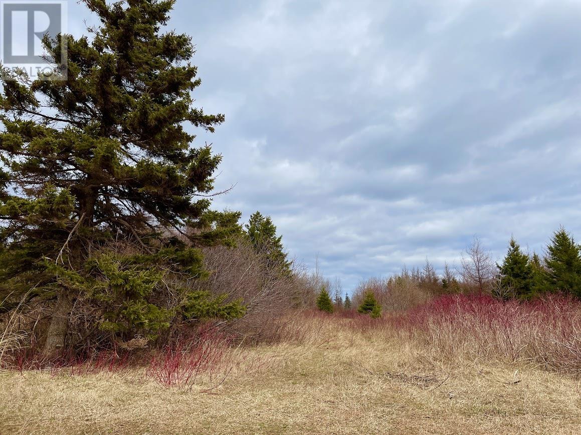 Acreage Grand Digue Road, Rte 170, Derby, Prince Edward Island  C0B 1H0 - Photo 9 - 202508921