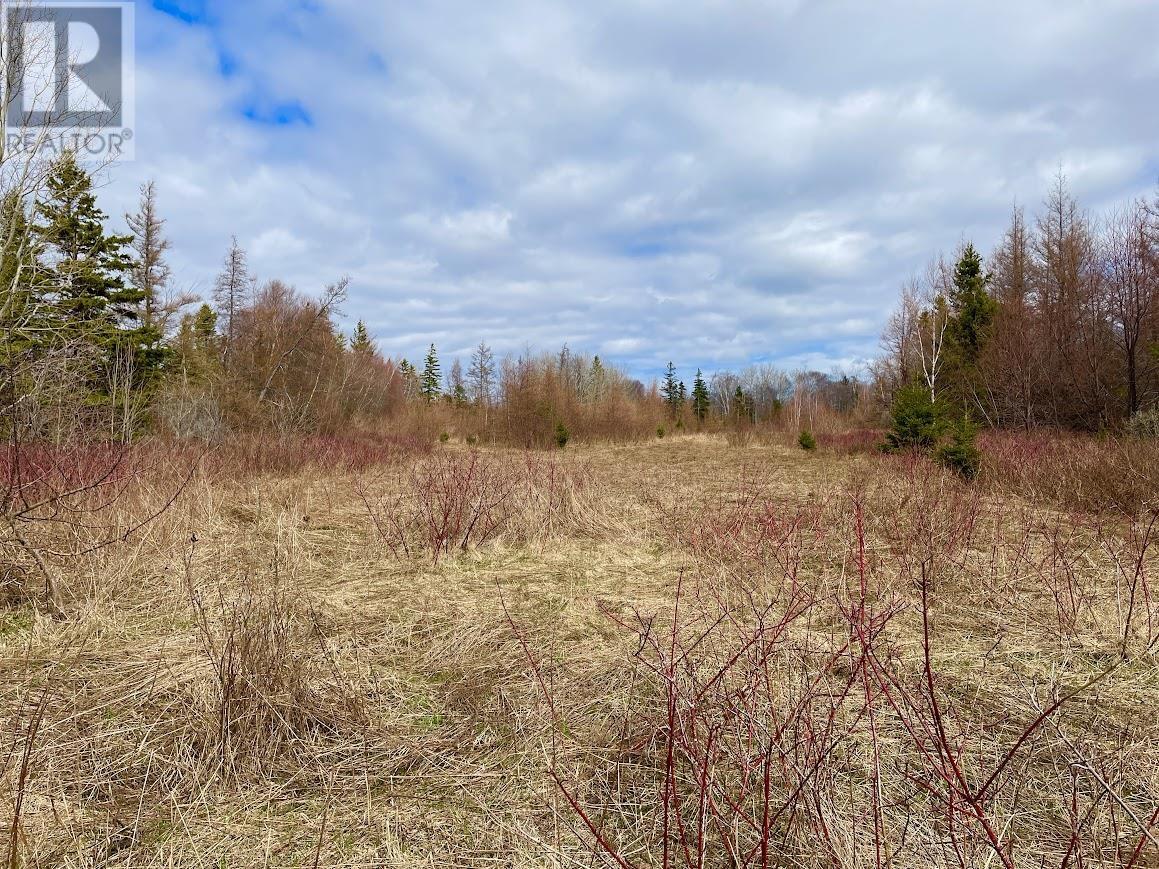 Acreage Grand Digue Road, Rte 170, Derby, Prince Edward Island  C0B 1H0 - Photo 7 - 202508921