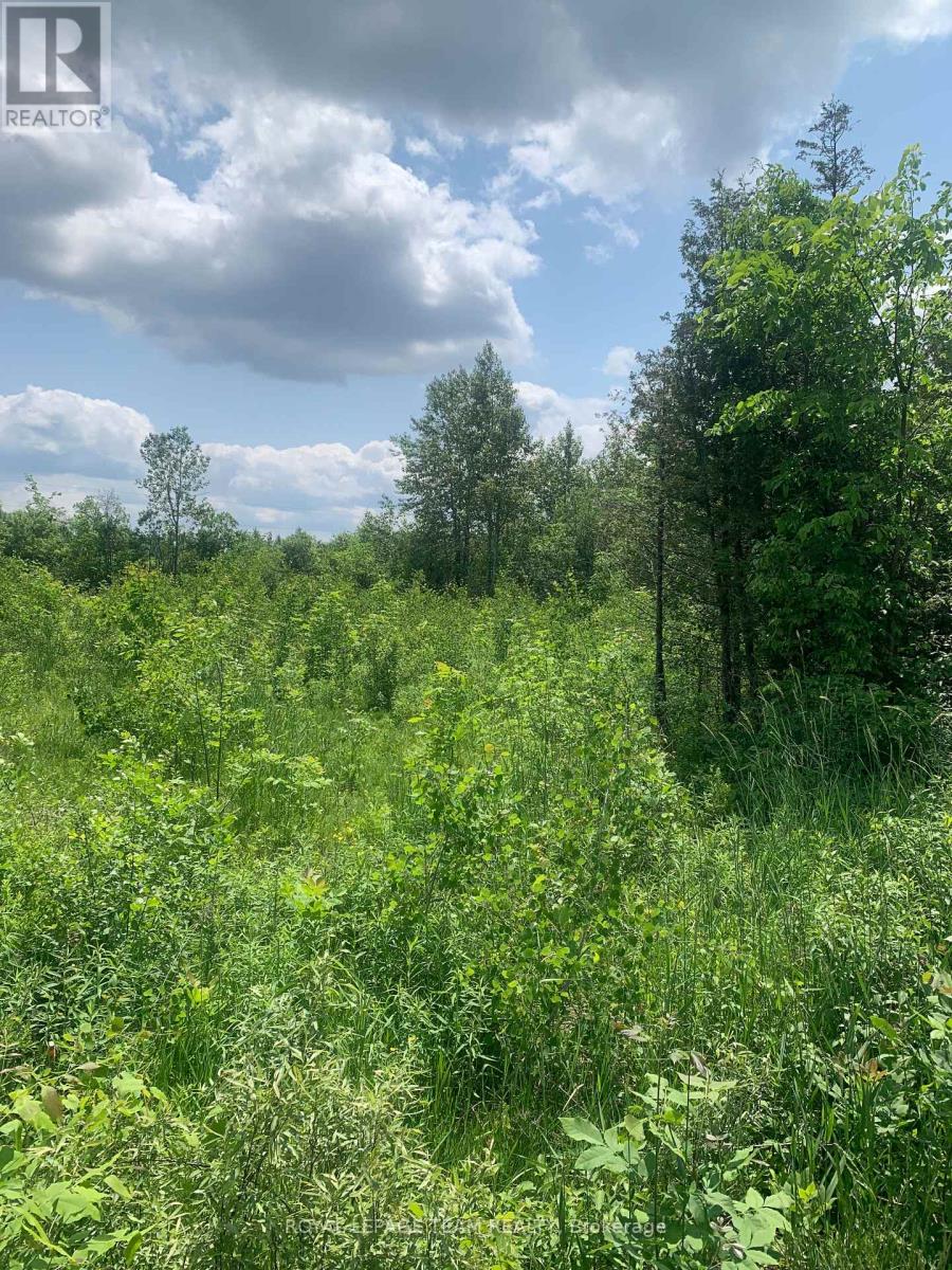 Con7lt2 Bolton Road, Merrickville-Wolford, Ontario  K0G 1N0 - Photo 3 - X12228633