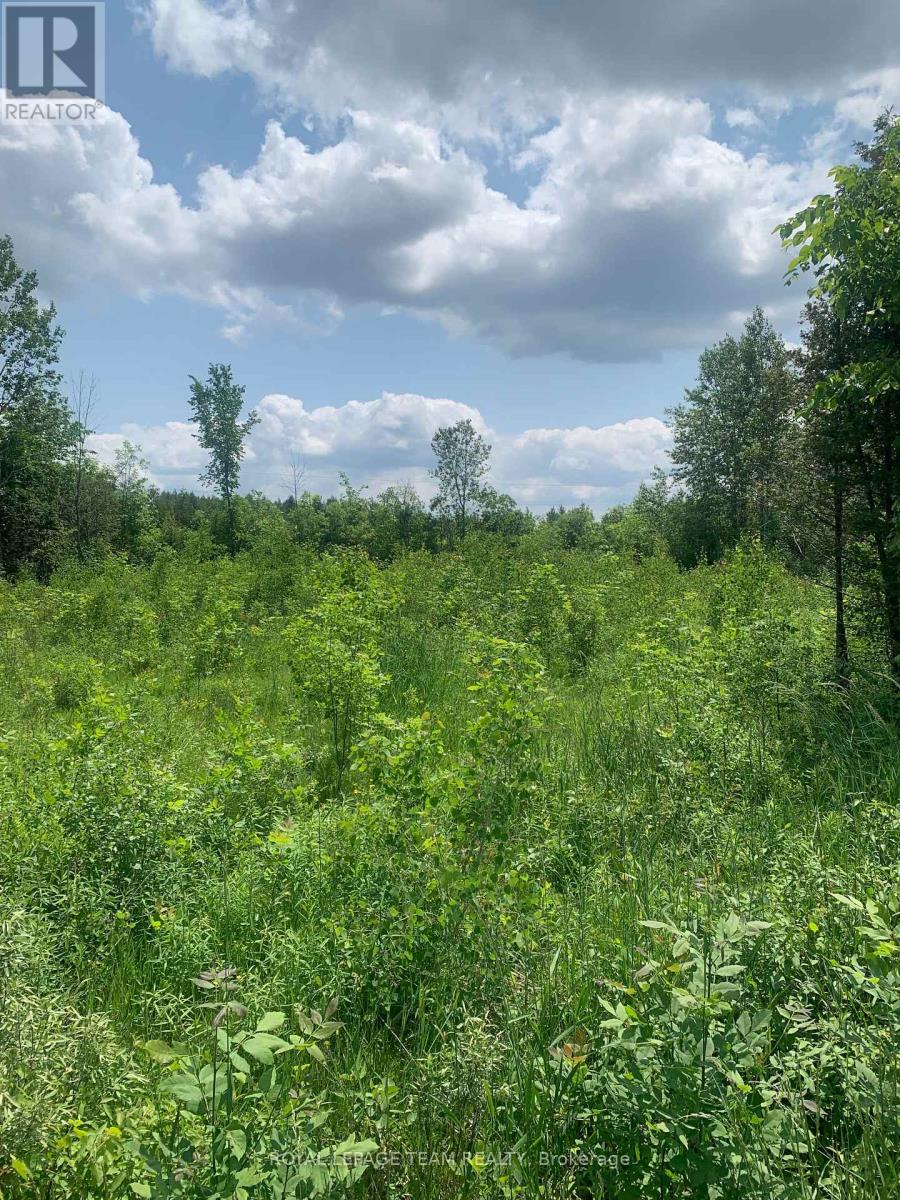 Con7lt2 Bolton Road, Merrickville-Wolford, Ontario  K0G 1N0 - Photo 4 - X12228633