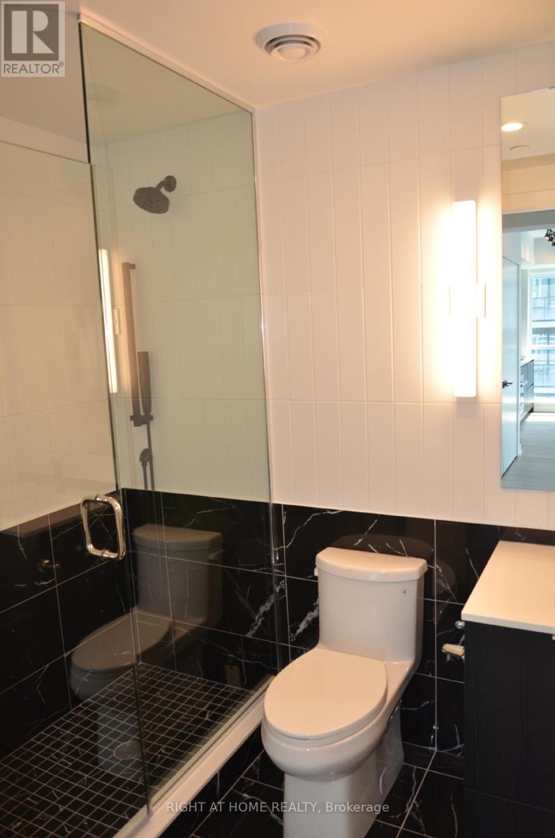 4303 - 327 King Street W, Toronto (Waterfront Communities), Ontario  M5V 0W7 - Photo 16 - C12229021