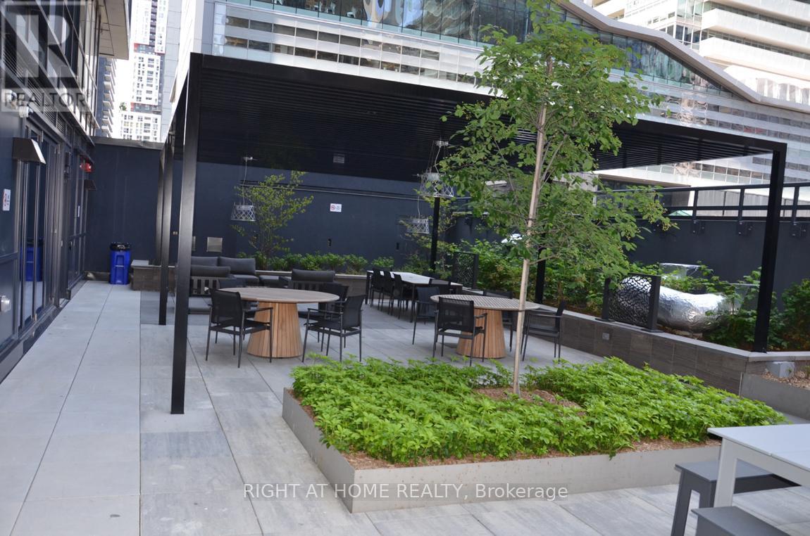 4303 - 327 King Street W, Toronto (Waterfront Communities), Ontario  M5V 0W7 - Photo 30 - C12229021