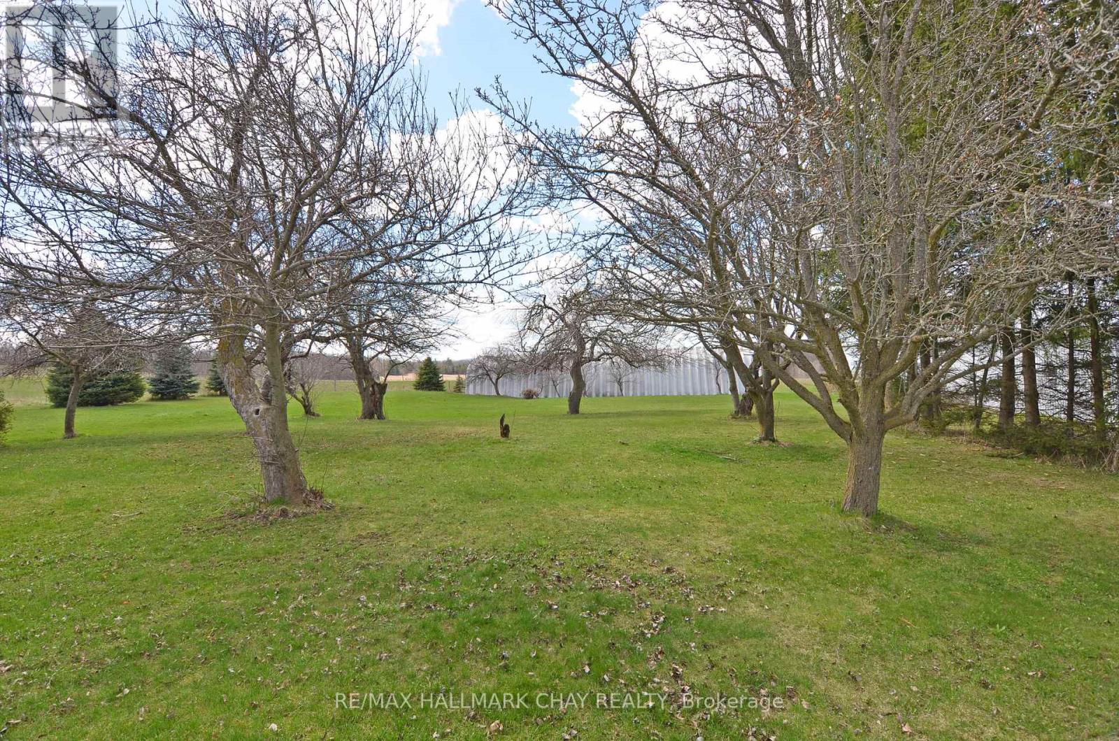 6280 County Rd 15, Adjala-Tosorontio, Ontario  L0M 1J0 - Photo 11 - N12228573