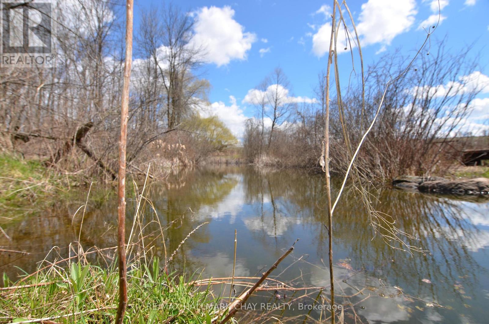 6280 County Rd 15, Adjala-Tosorontio, Ontario  L0M 1J0 - Photo 12 - N12228573
