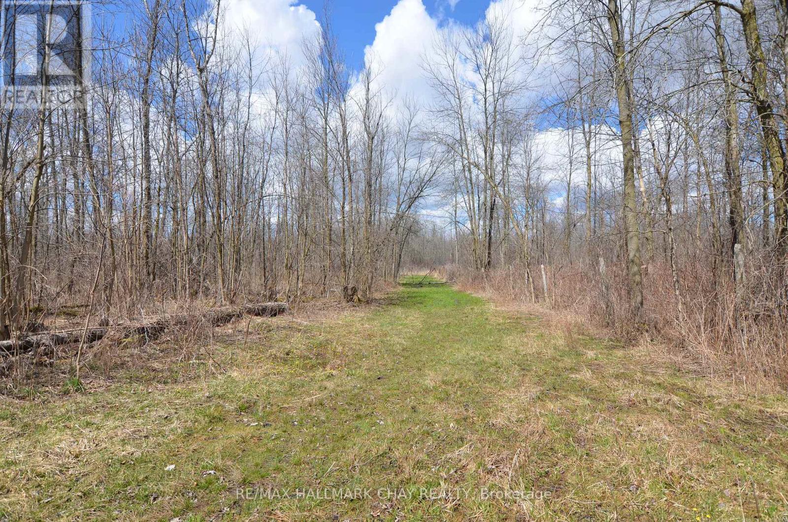 6280 County Rd 15, Adjala-Tosorontio, Ontario  L0M 1J0 - Photo 14 - N12228573