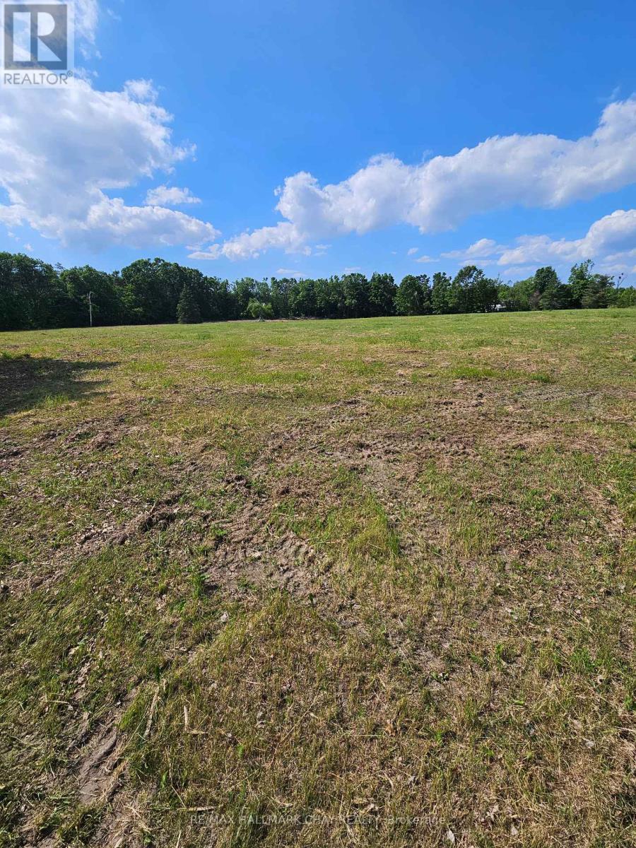 3450 20th Side Road, Barrie, Ontario  L9J 0A2 - Photo 10 - S12229094