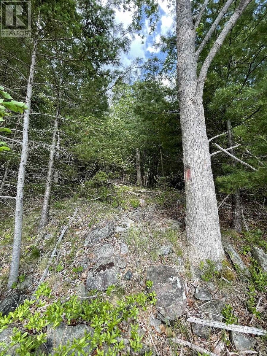 Lot 108 East Clifford Road, East Clifford, Nova Scotia  B4V 1Y7 - Photo 9 - 202514975