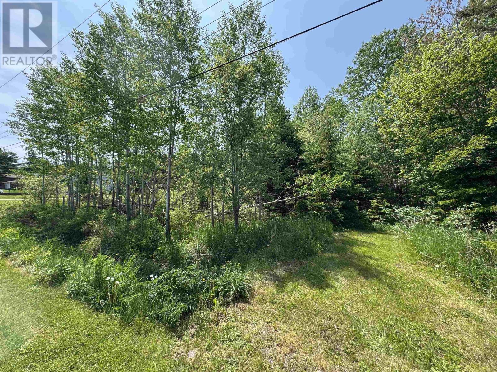 0 Maple Creek Drive, Howie Centre, Nova Scotia  B1L 1C4 - Photo 3 - 202514983