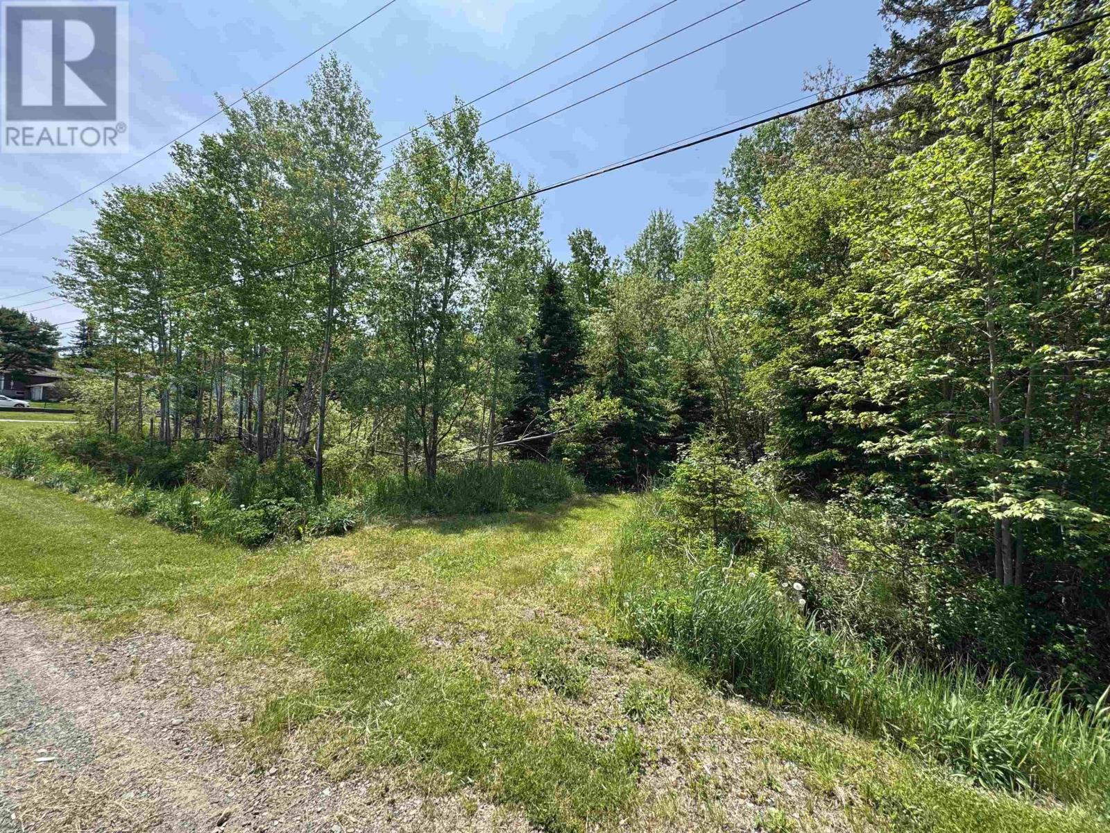 0 Maple Creek Drive, Howie Centre, Nova Scotia  B1L 1C4 - Photo 2 - 202514983