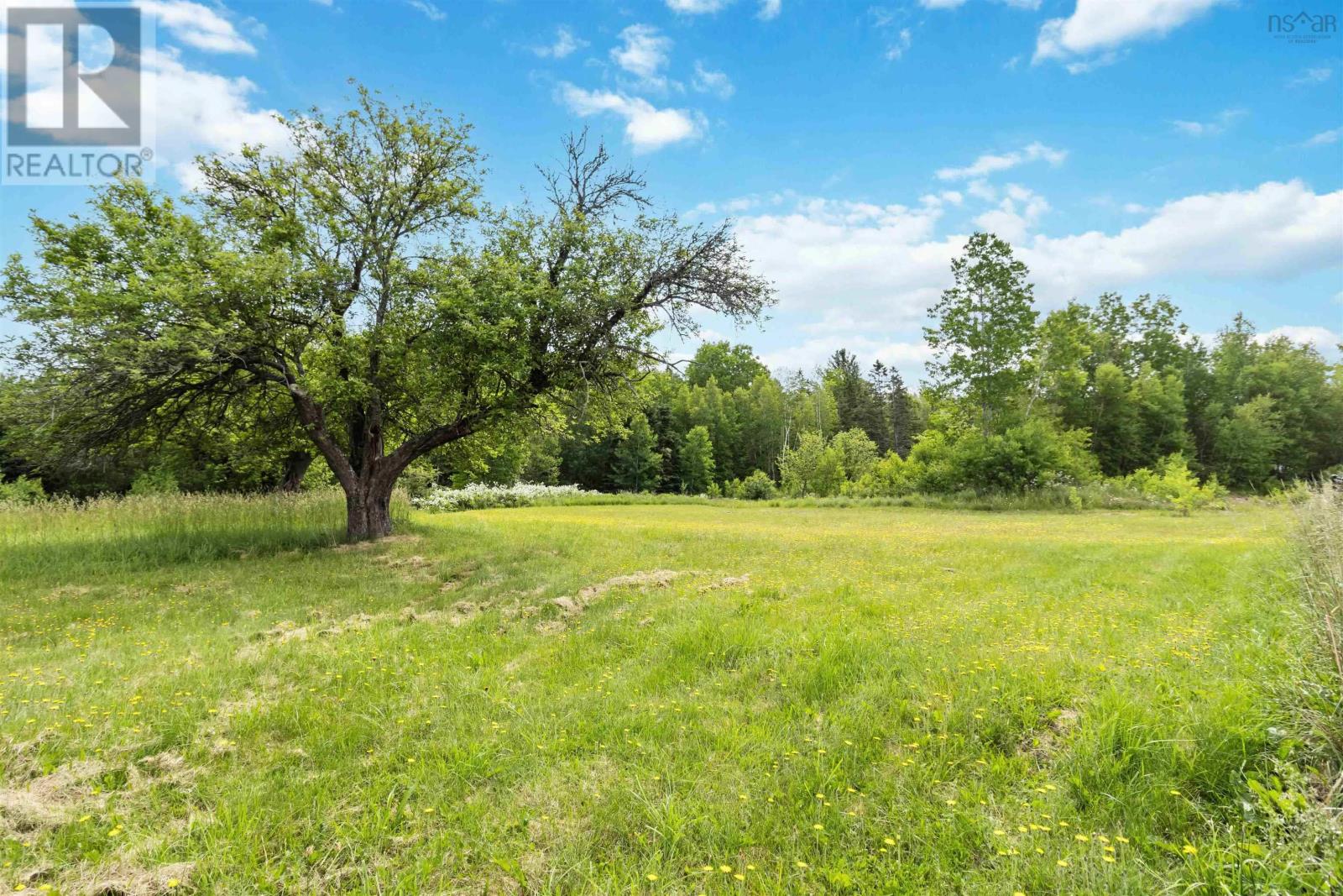 193 Mountain Road, Three Mile Plains, Nova Scotia  B0N 2T0 - Photo 34 - 202514985