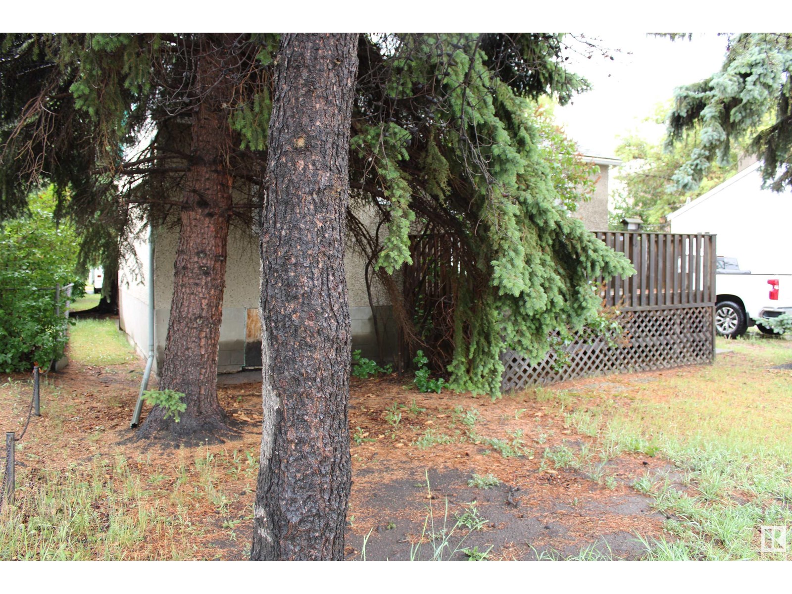 Property at 9909 163 ST NW image 5