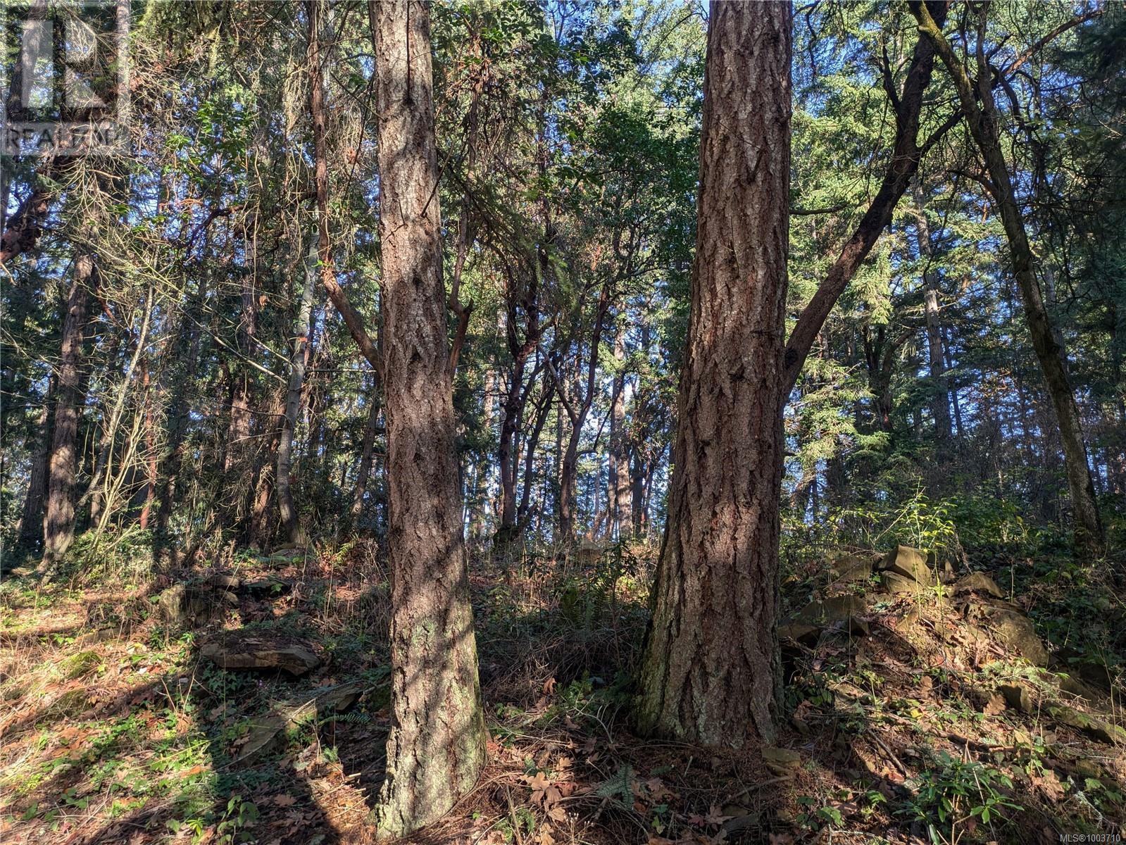 174 Pirates Lane, Protection Island, British Columbia  V9R 6R1 - Photo 13 - 1003710