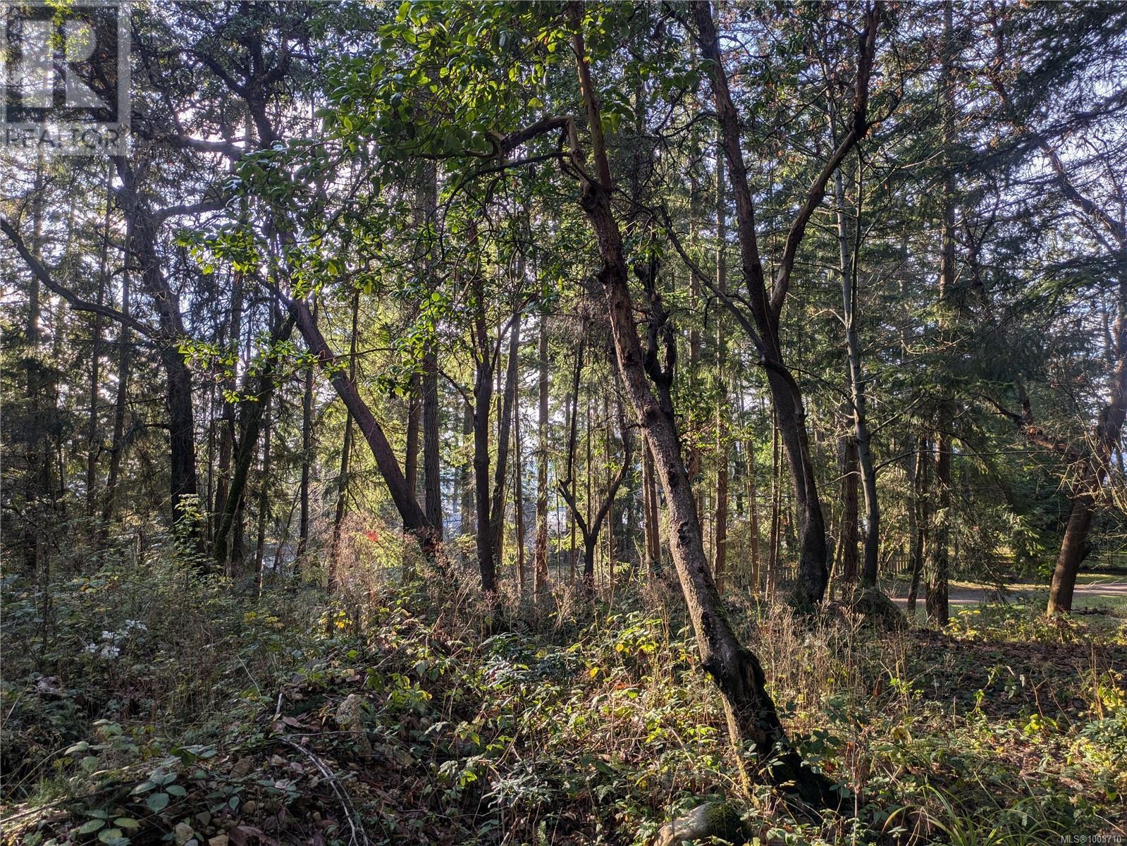 174 Pirates Lane, Protection Island, British Columbia  V9R 6R1 - Photo 16 - 1003710