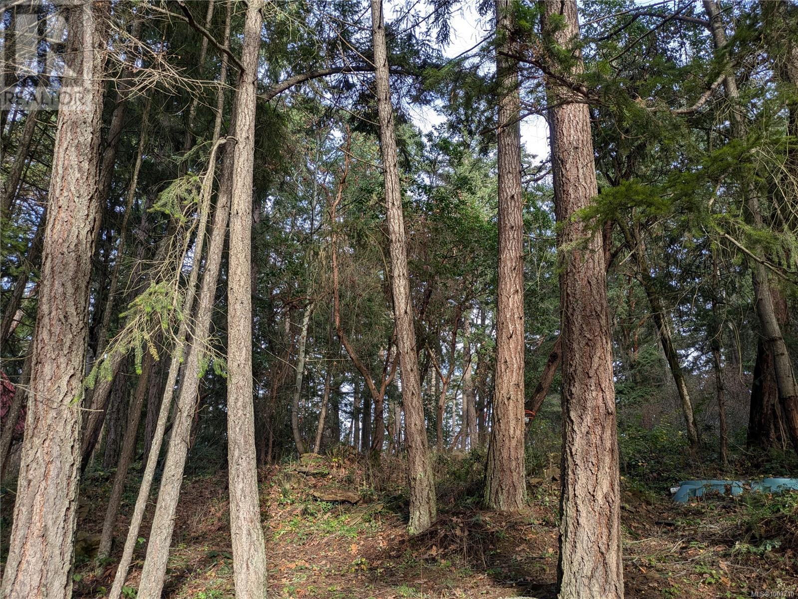 174 Pirates Lane, Protection Island, British Columbia  V9R 6R1 - Photo 2 - 1003710