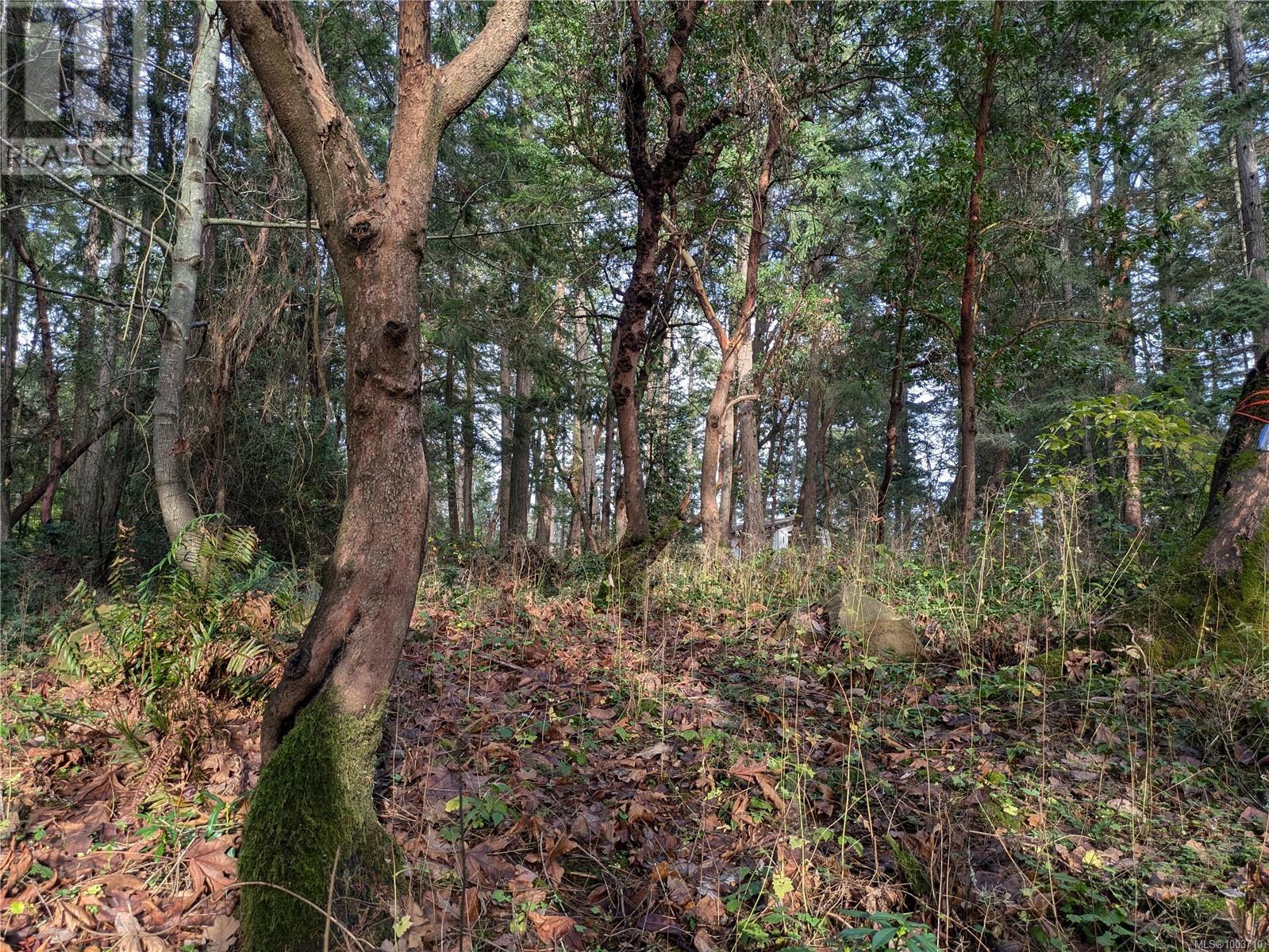 174 Pirates Lane, Protection Island, British Columbia  V9R 6R1 - Photo 4 - 1003710