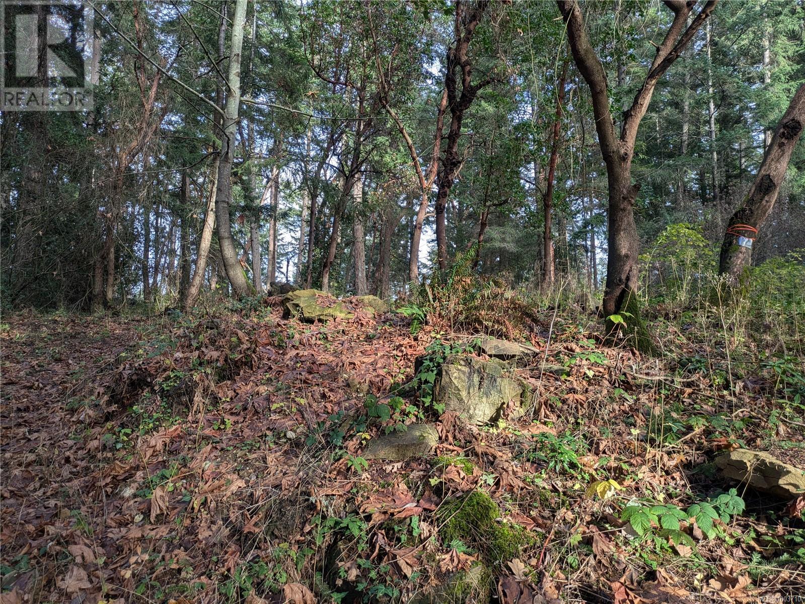 174 Pirates Lane, Protection Island, British Columbia  V9R 6R1 - Photo 5 - 1003710