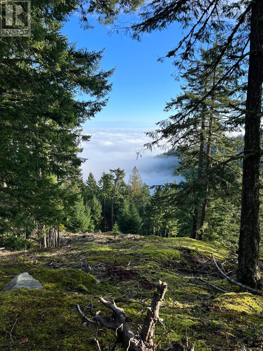 1172 Musgrave Rd, Salt Spring, British Columbia  V8K 1V5 - Photo 24 - 999603