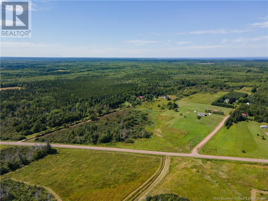 Route 960, Cape Spear, New Brunswick  E4M 1R6 - Photo 10 - NB118221