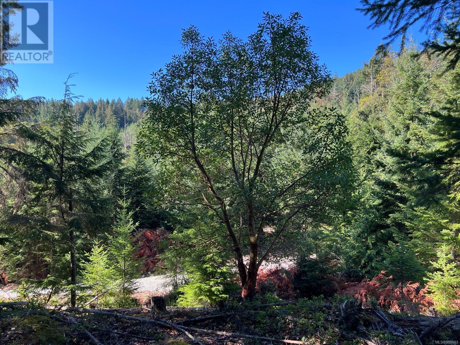 1172 Musgrave Rd, Salt Spring, British Columbia  V8K 1V5 - Photo 27 - 999603
