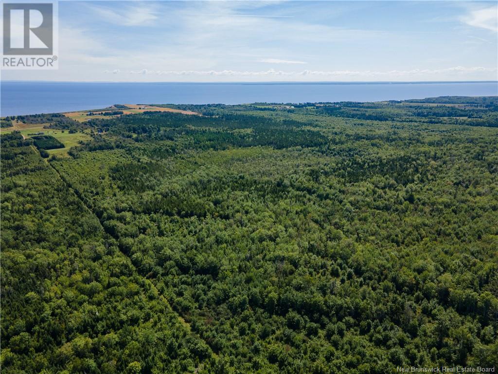 Route 960, Cape Spear, New Brunswick  E4M 1R6 - Photo 8 - NB118221