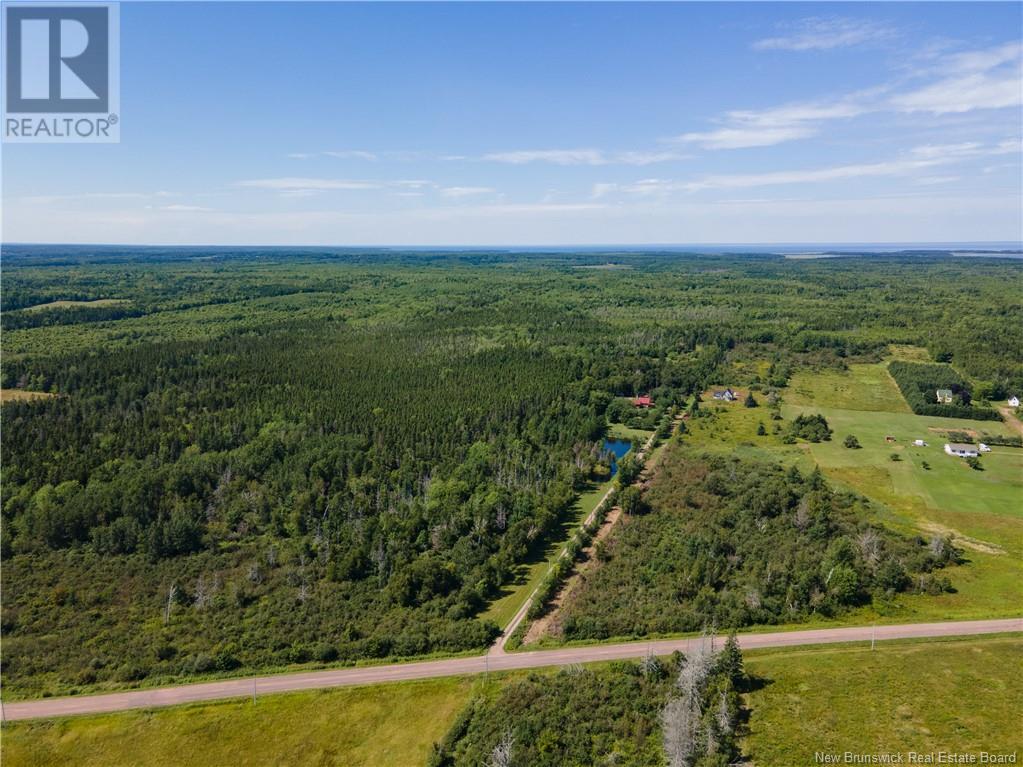 Route 960, Cape Spear, New Brunswick  E4M 1R6 - Photo 9 - NB118221
