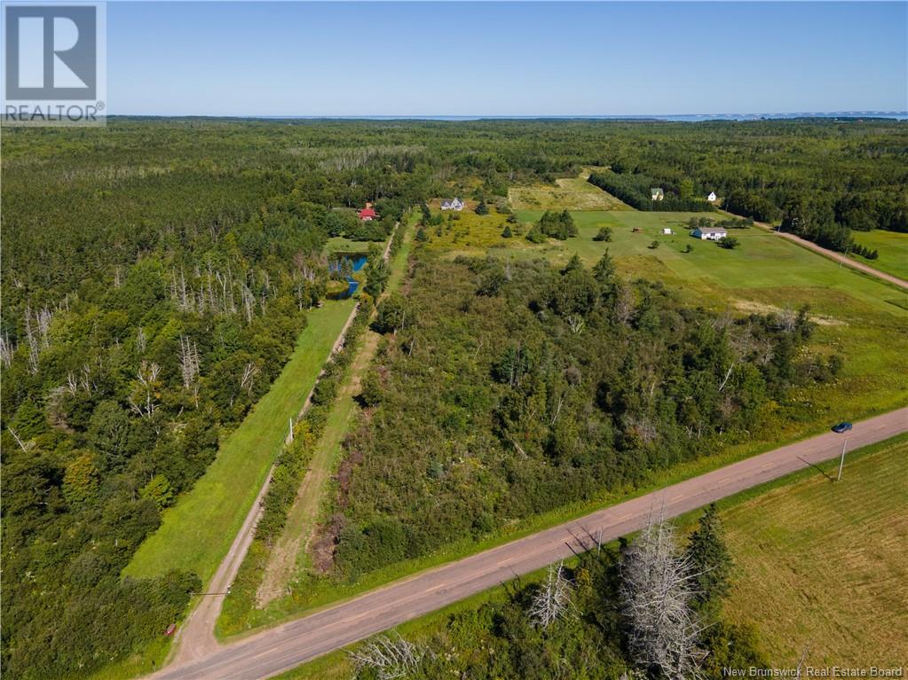 Route 960, Cape Spear, New Brunswick  E4M 1R6 - Photo 17 - NB118221