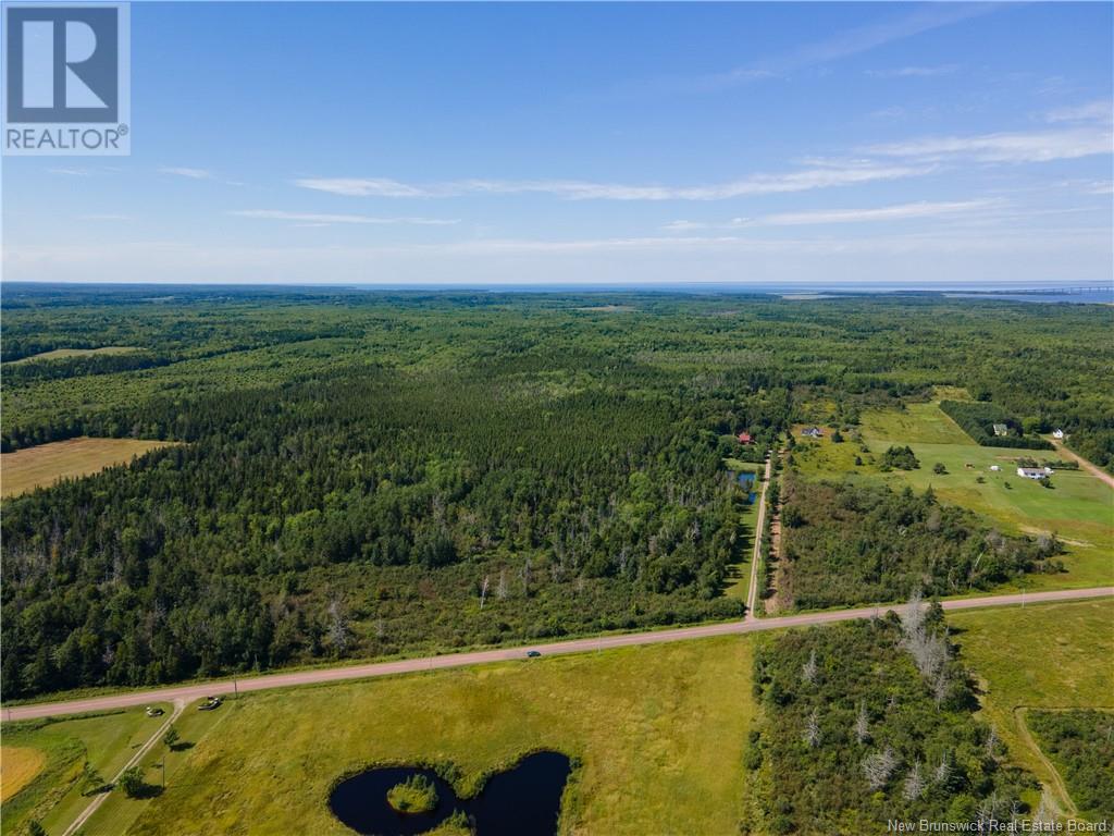 Route 960, Cape Spear, New Brunswick  E4M 1R6 - Photo 12 - NB118221
