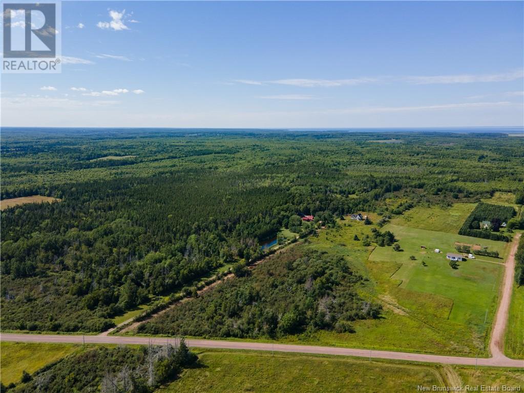 Route 960, Cape Spear, New Brunswick  E4M 1R6 - Photo 15 - NB118221