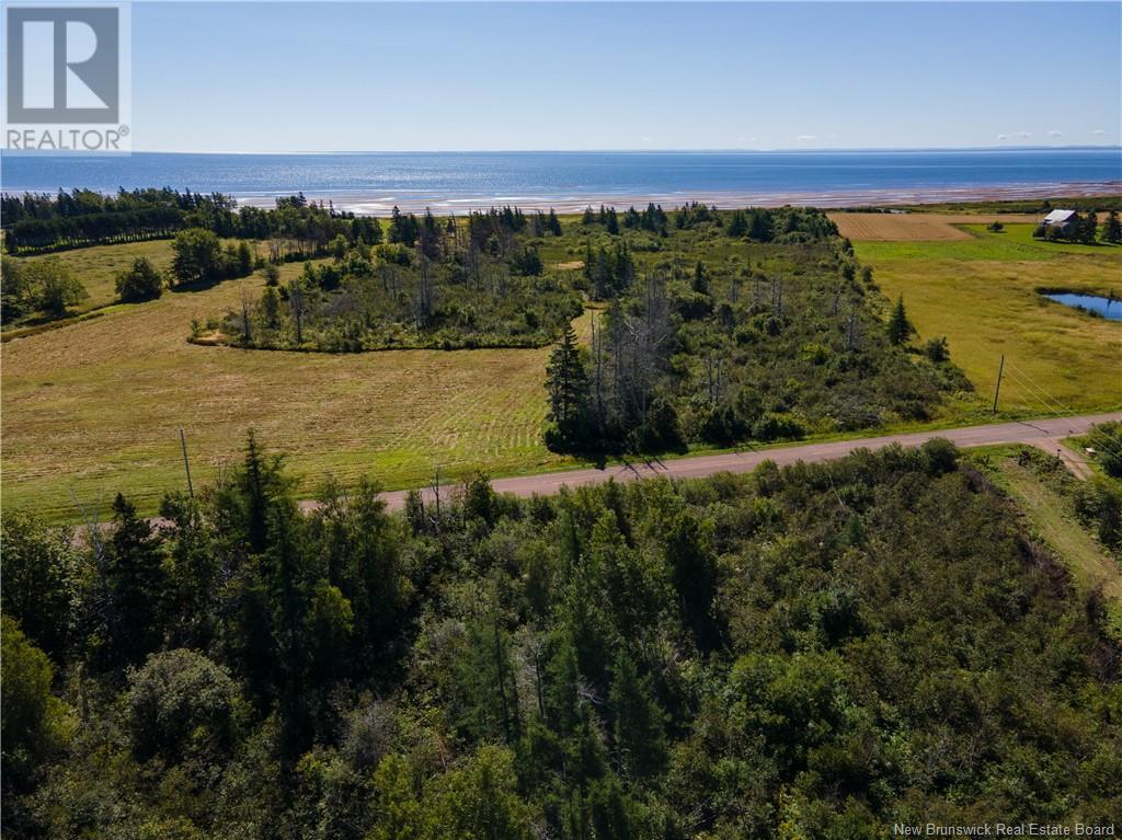 Route 960, Cape Spear, New Brunswick  E4M 1R6 - Photo 14 - NB118221