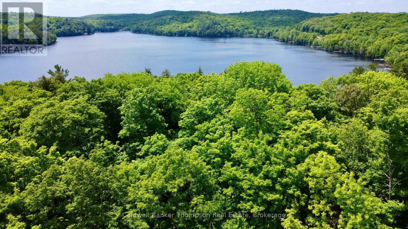 265 Sharon Drive, Huntsville, Ontario  P1H 2J6 - Photo 2 - X12230008