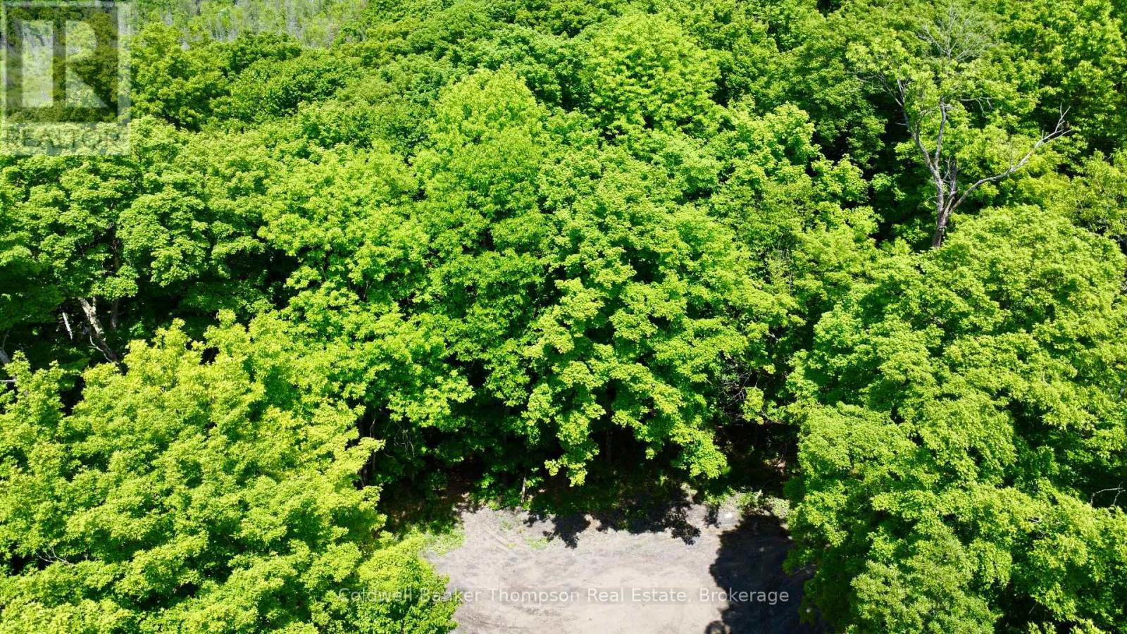 265 Sharon Drive, Huntsville, Ontario  P1H 2J6 - Photo 5 - X12230008