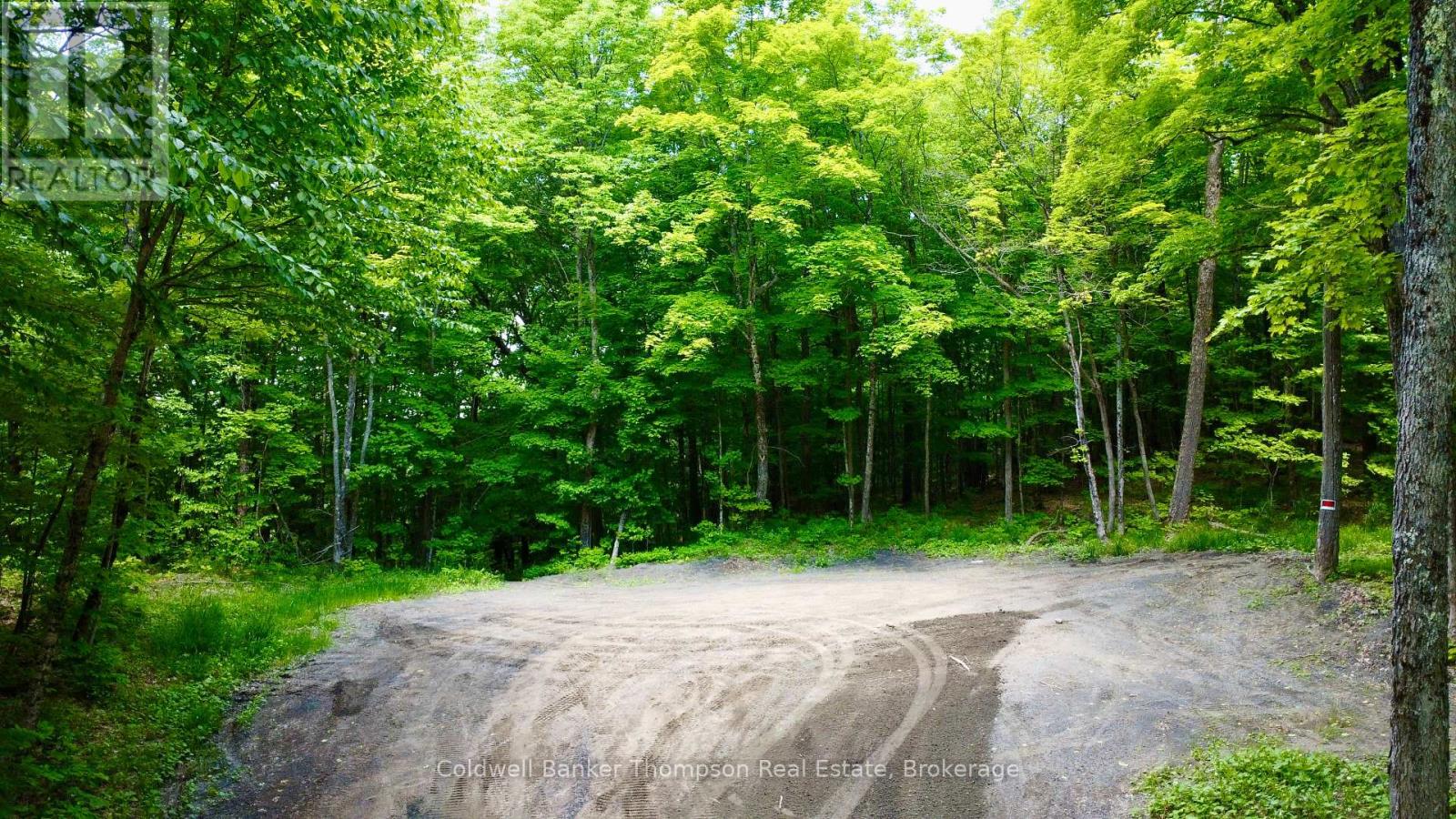 265 Sharon Drive, Huntsville, Ontario  P1H 2J6 - Photo 7 - X12230008
