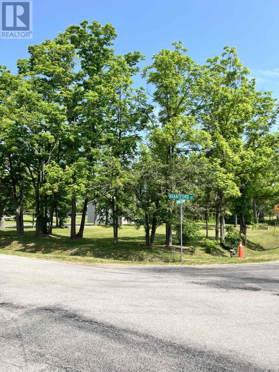 Lot 5 Centre Street S, Brant (Brantford Twp), Ontario  N3T 5L9 - Photo 1 - X12230192