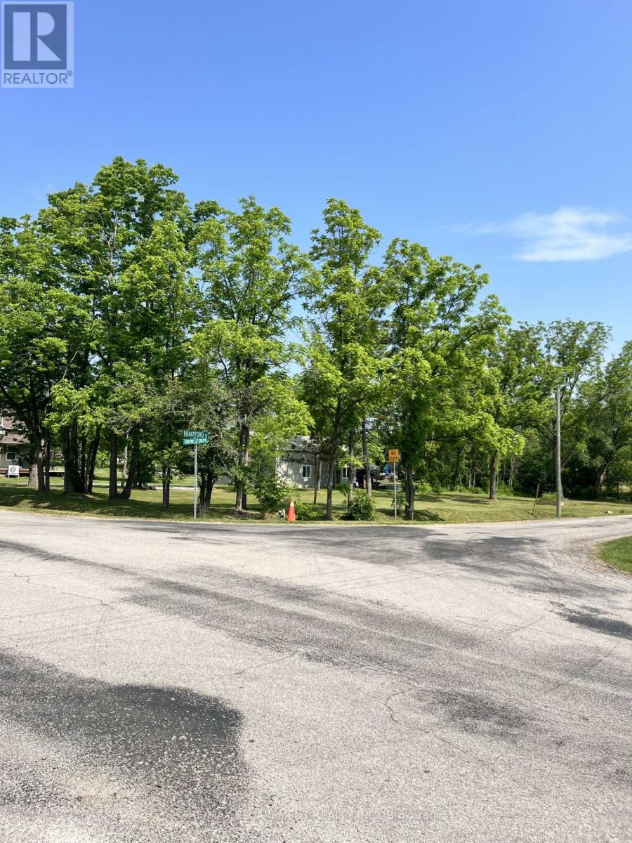 Lot 5 Centre Street S, Brant (Brantford Twp), Ontario  N3T 5L9 - Photo 4 - X12230192