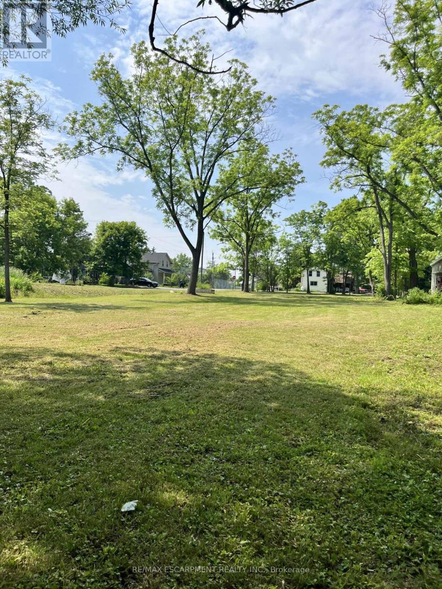 Lot 5 Centre Street S, Brant (Brantford Twp), Ontario  N3T 5L9 - Photo 6 - X12230192