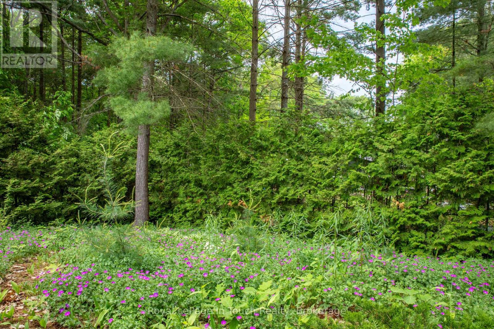 62 Tucson Road, Tiny, Ontario  L9M 0B6 - Photo 6 - S12230375