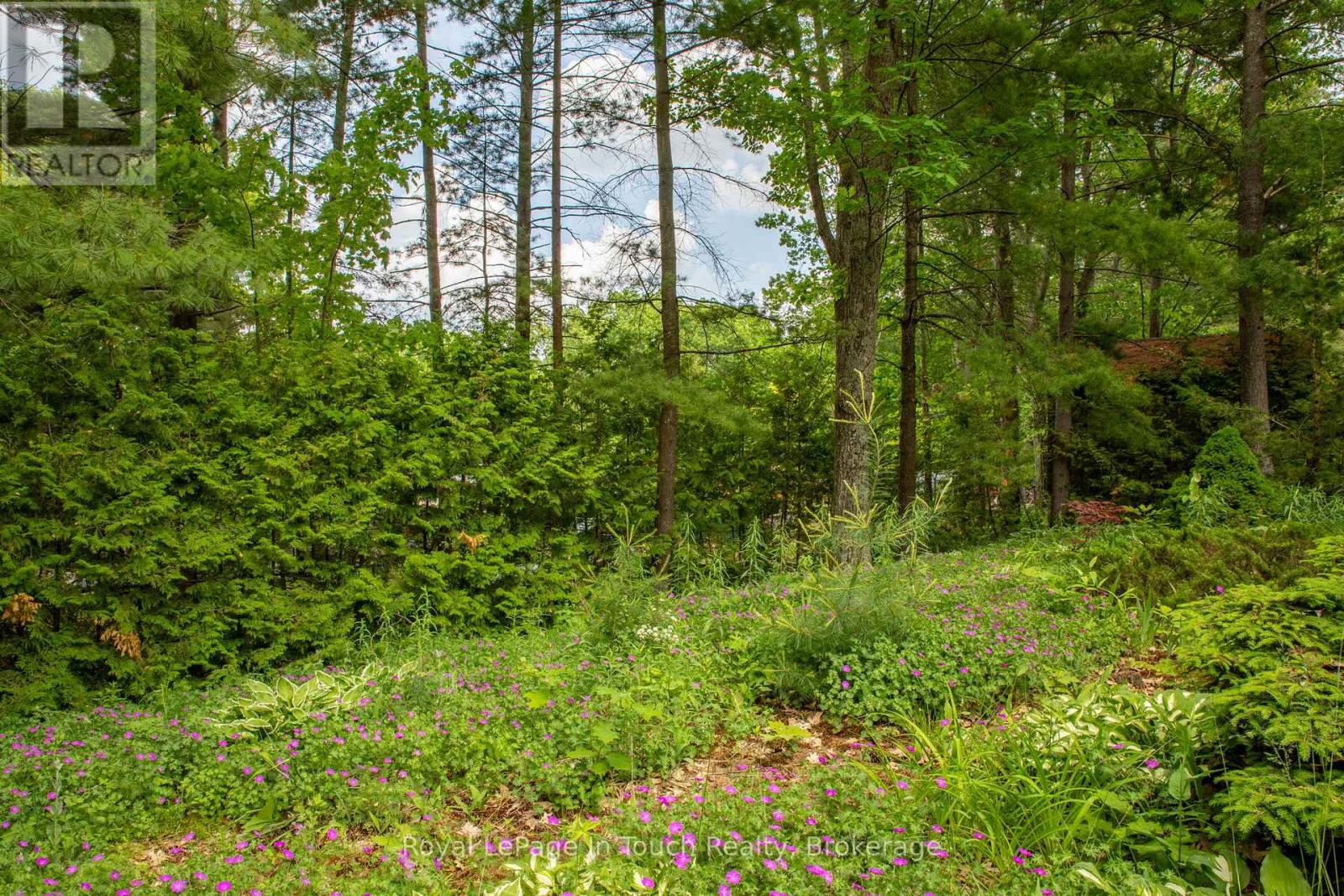 62 Tucson Road, Tiny, Ontario  L9M 0B6 - Photo 8 - S12230375