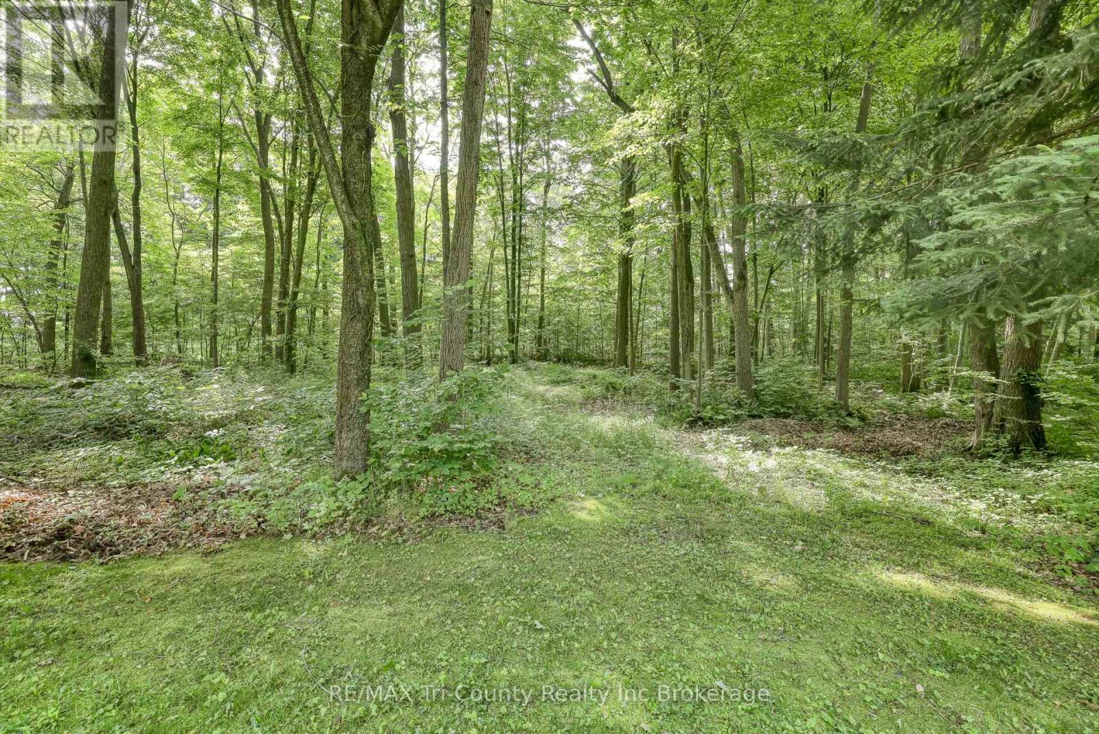 50 Rokeby Side Road, Norfolk, Ontario  N4G 4G7 - Photo 11 - X12230402