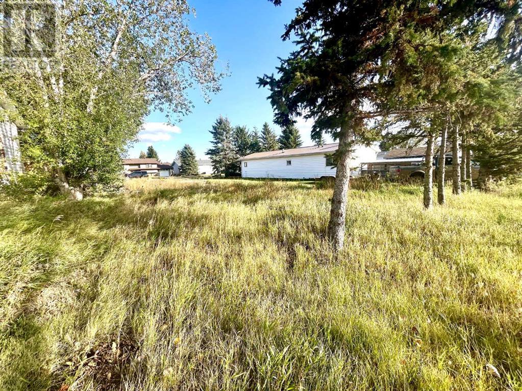 4834 59 Street, Killam, Alberta  T0B 2L0 - Photo 6 - A2085093